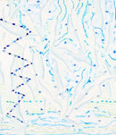 Mysteries of the Sea, Schools of Fish (Superimposing the Kanji Character of 'Water')